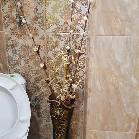 Апартаменти Wild Walnut *