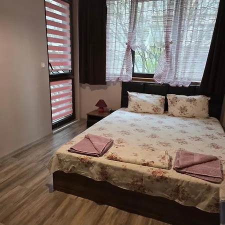 Appartement Wild Walnut