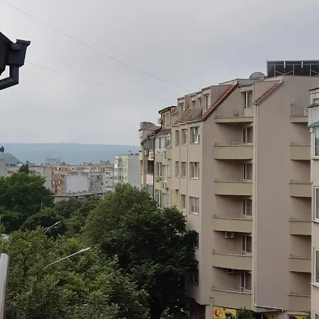 Wild Walnut * 바르나