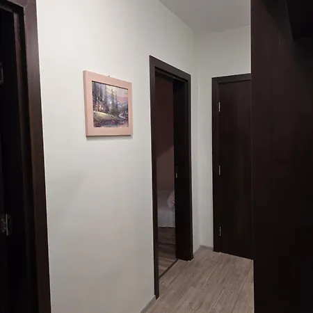 Apartment Wild Walnut