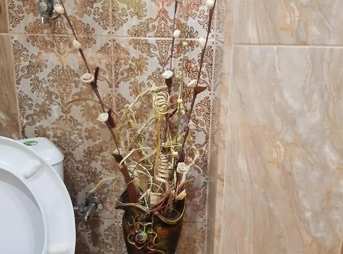 Apartment Wild Walnut *