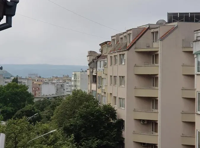 Wild Walnut * Βάρνα