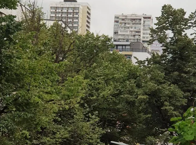 Wild Walnut Apartment