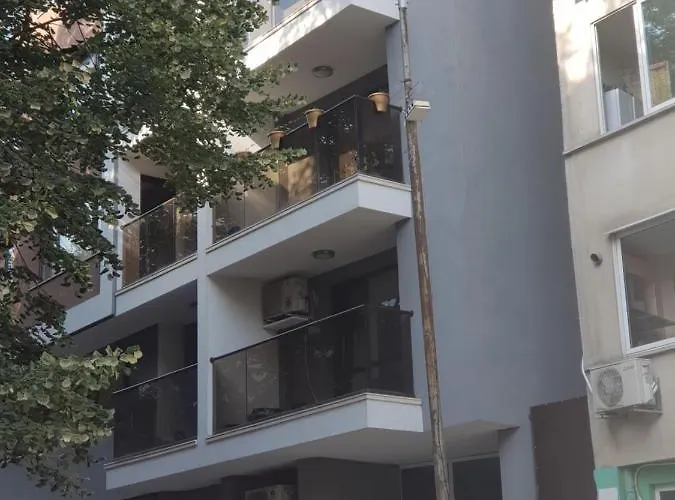 Apartment Wild Walnut *